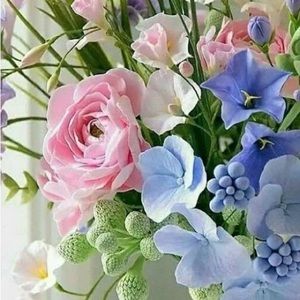 Meet your Posher💝